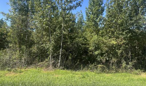 Photo #1 of Lot 21 0 W Old Spring Hope Rd, Spring Hope, NC 3.1 acres