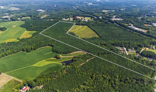 Photo #4 of Thomas Arnold, Zebulon, NC 58.7 acres