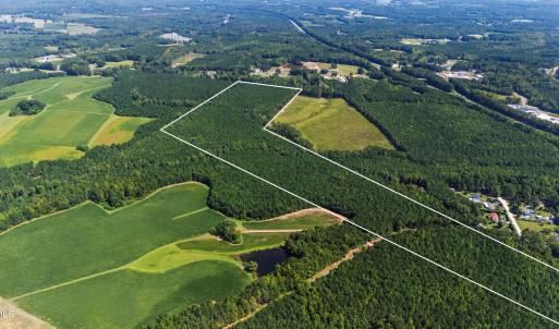 Photo #3 of Thomas Arnold, Zebulon, NC 58.7 acres