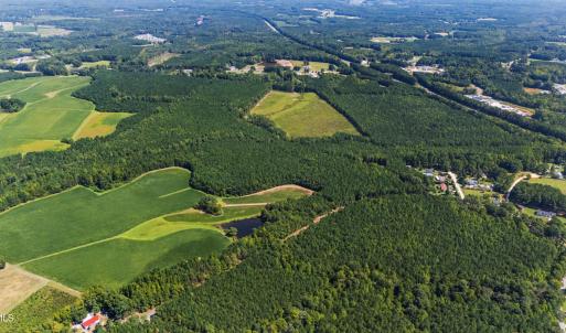 Photo #15 of Thomas Arnold, Zebulon, NC 58.7 acres