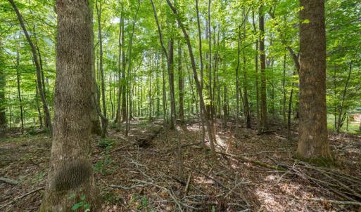 Photo #8 of 1556 Dogwood, Oxford, NC 2.5 acres