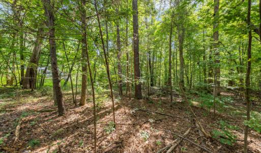Photo #1 of 1556 Dogwood, Oxford, NC 2.5 acres