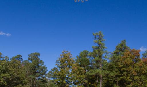 Photo #71 of 1567 Sagamore, Louisburg, NC 0.3 acres