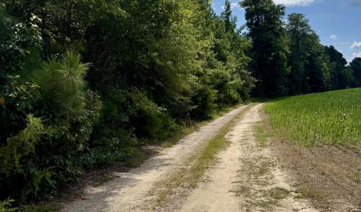 Photo #13 of 5987 Nc-39, Henderson, NC 73.7 acres