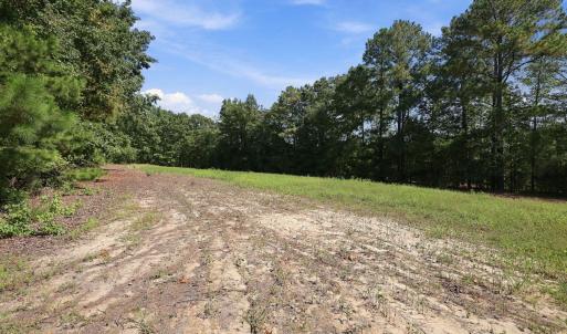 Photo #6 of Julie Mcknight, Kittrell, NC 41.1 acres