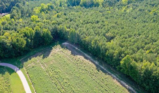Photo #10 of 9.47 Acres Us 401, Youngsville, NC 9.5 acres