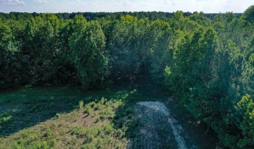 Photo #9 of 9.47 Acres Us 401, Youngsville, NC 9.5 acres