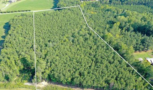 Photo #4 of 9.47 Acres Us 401, Youngsville, NC 9.5 acres