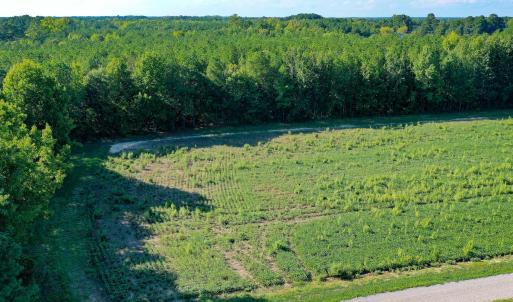 Photo #8 of 9.47 Acres Us 401, Youngsville, NC 9.5 acres