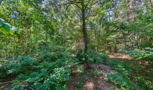 Photo #13 of 1028 Lynn, Durham, NC 7.5 acres