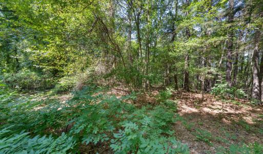 Photo #14 of 1028 Lynn, Durham, NC 7.5 acres