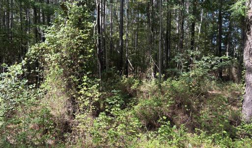 Photo #2 of Carver School, Henderson, NC 12.4 acres