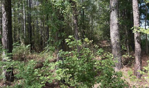 Photo #5 of Carver School, Henderson, NC 12.4 acres