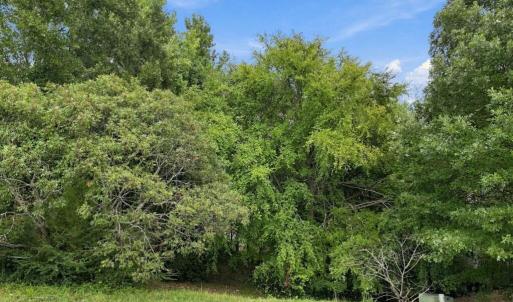 Photo #8 of 4912 Fly Way, Raleigh, NC 0.3 acres