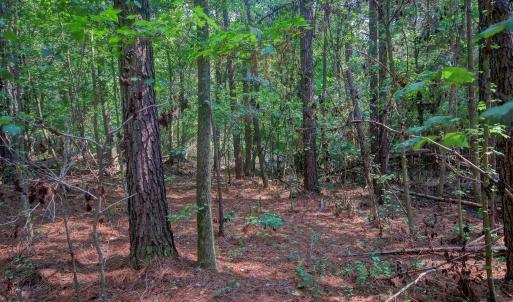 Photo #3 of Rumley, Graham, NC 19.7 acres