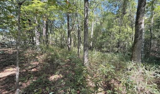 Photo #40 of Elfman, Spring Lake, NC 0.5 acres