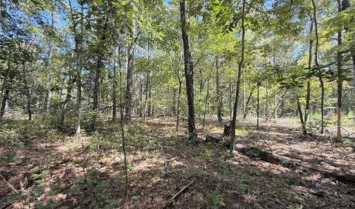 Photo #39 of Elfman, Spring Lake, NC 0.5 acres