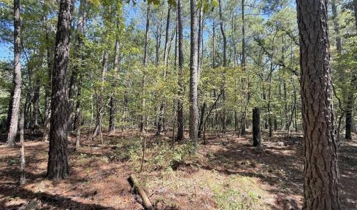 Photo #6 of Elfman, Spring Lake, NC 0.5 acres