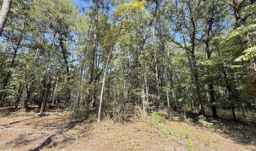 Photo #38 of Elfman, Spring Lake, NC 0.5 acres