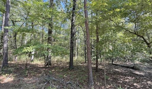 Photo #41 of Elfman, Spring Lake, NC 0.5 acres
