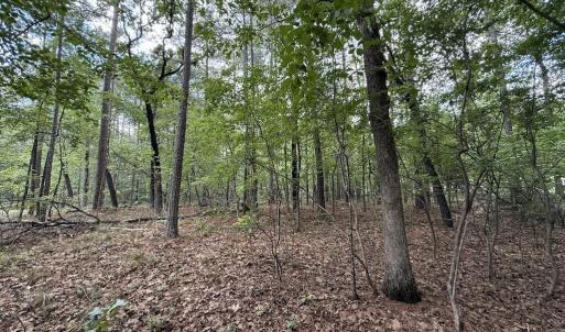Photo #13 of Elfman, Spring Lake, NC 0.5 acres