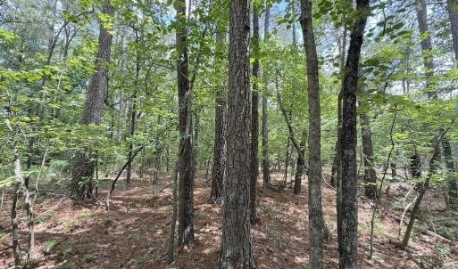 Photo #30 of Elfman, Spring Lake, NC 0.5 acres