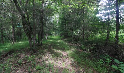 Photo #17 of 4220 Carolina 14, Reidsville, NC 16.4 acres