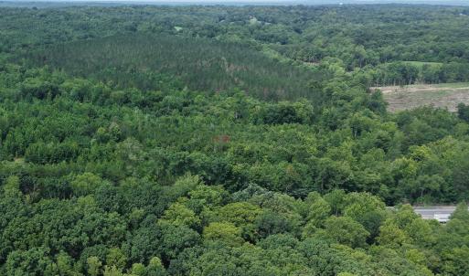 Photo #7 of 4220 Carolina 14, Reidsville, NC 16.4 acres