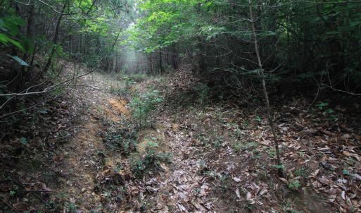 Photo #13 of 4220 Carolina 14, Reidsville, NC 16.4 acres