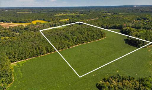 Photo #9 of 2050 Clark, Lillington, NC 34.4 acres