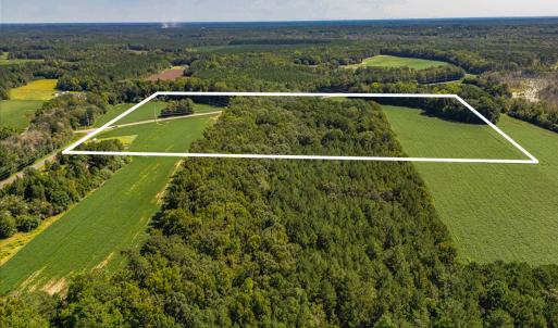 Photo #8 of 2050 Clark, Lillington, NC 34.4 acres