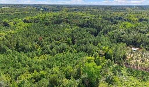 Photo #5 of 4490 Charles Taylor, Oxford, NC 8.1 acres