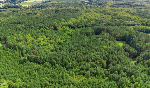 Photo #6 of 4490 Charles Taylor, Oxford, NC 8.1 acres