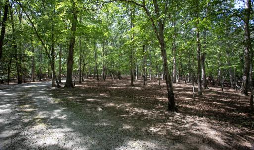 Photo #19 of 1716 Brassfield, Raleigh, NC 15.8 acres