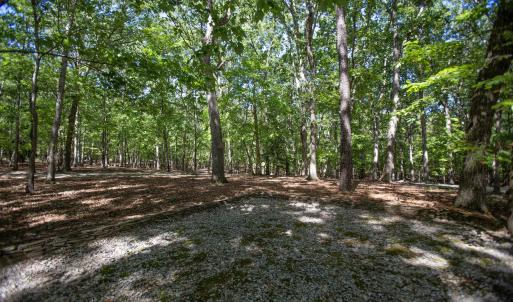 Photo #21 of 1716 Brassfield, Raleigh, NC 15.8 acres