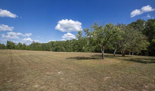 Photo #4 of 1716 Brassfield, Raleigh, NC 15.8 acres