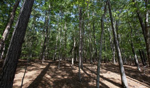 Photo #29 of 1716 Brassfield, Raleigh, NC 15.8 acres