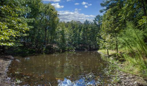 Photo #30 of 1716 Brassfield, Raleigh, NC 15.8 acres