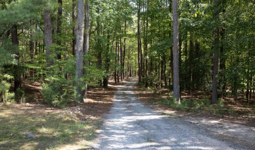 Photo #15 of 1716 Brassfield, Raleigh, NC 15.8 acres