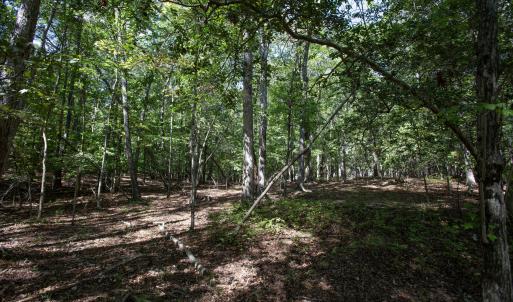 Photo #33 of 1716 Brassfield, Raleigh, NC 15.8 acres