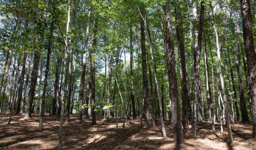 Photo #23 of 1716 Brassfield, Raleigh, NC 15.8 acres