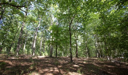 Photo #24 of 1716 Brassfield, Raleigh, NC 15.8 acres