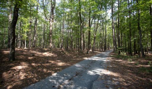 Photo #16 of 1716 Brassfield, Raleigh, NC 15.8 acres