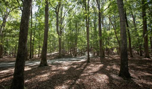 Photo #18 of 1716 Brassfield, Raleigh, NC 15.8 acres