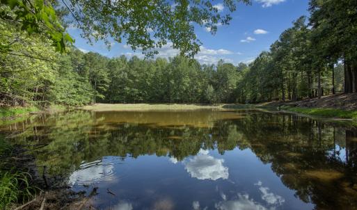 Photo #31 of 1716 Brassfield, Raleigh, NC 15.8 acres