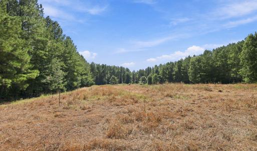 Photo #15 of Sunset, Oxford, NC 94.8 acres