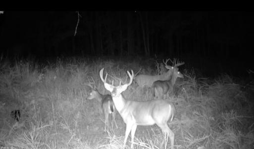 Photo #3 of Sunset, Oxford, NC 94.8 acres