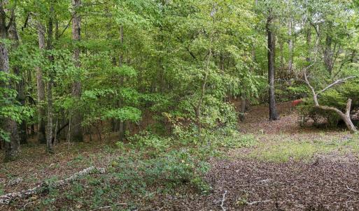 Photo #2 of Rollins Mill, Holly Springs, NC 3.5 acres
