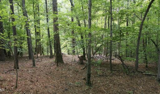 Photo #3 of Rollins Mill, Holly Springs, NC 3.5 acres