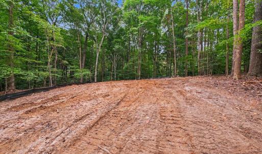Photo #13 of Oak, Raleigh, NC 0.7 acres